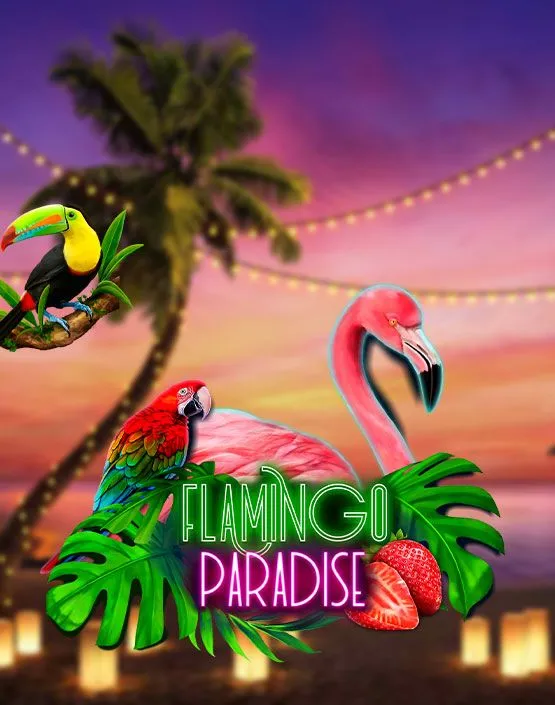 kiekka-flamingo-paradise